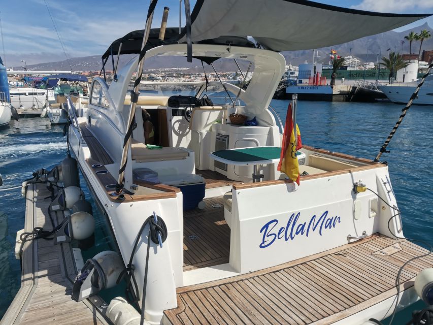 Puerto Colón: Coastal Boat Cruise with Swimming and Snacks - Costa Adeje sailing: dolphins, marine life, and how to time your attention