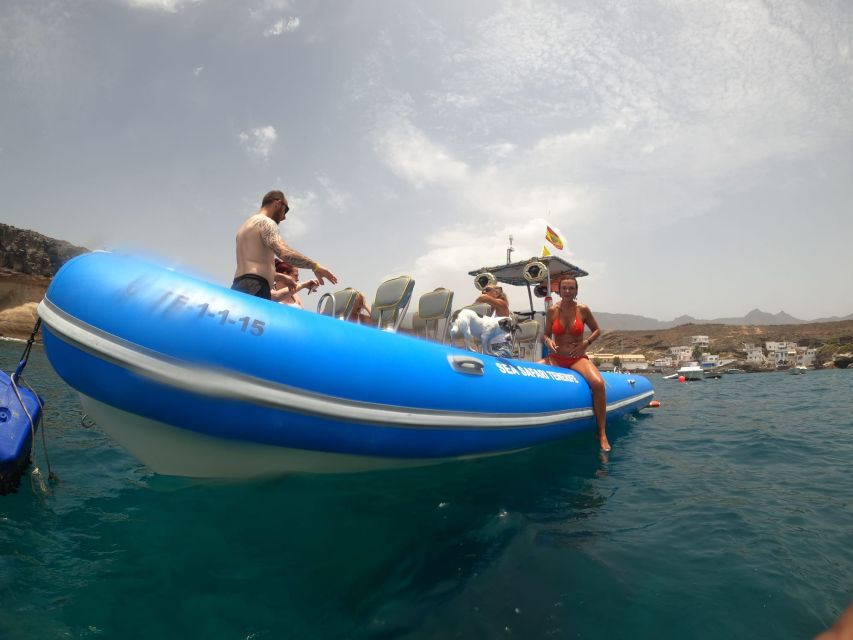 Puerto Colon: Dolphin and Whale Watching Speedboat Cruise - Meeting at Gate 3: How to Avoid a Late Arrival Headache
