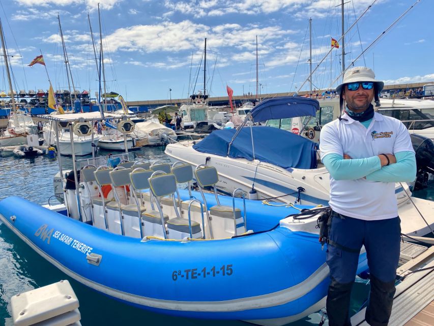 Puerto Colon: Dolphin and Whale Watching Speedboat Cruise - South Tenerife Views: Ports, Beaches, Natural Swimming Pools, and the Wind