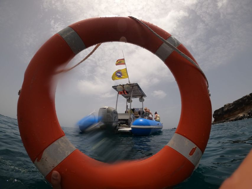 Puerto Colon: Dolphin and Whale Watching Speedboat Cruise - Food and Comfort: Is the $77 Ticket Actually Worth It?