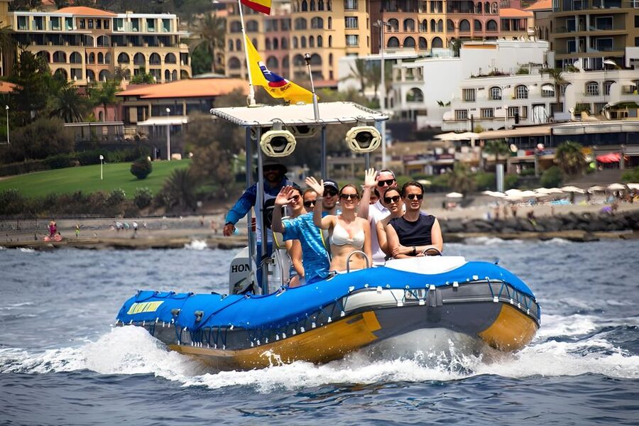 Puerto Colon: Dolphin and Whale Watching Speedboat Tour - Key Things I’d Book This For