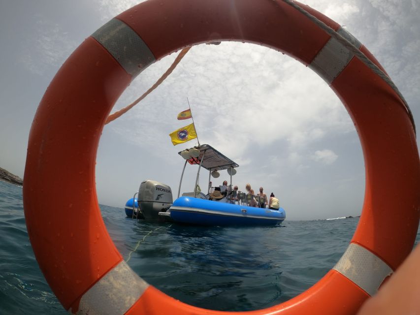 Puerto Colon: Dolphin and Whale Watching Speedboat Tour - Speedboat Wildlife Watching From Puerto Colón: The Real Point