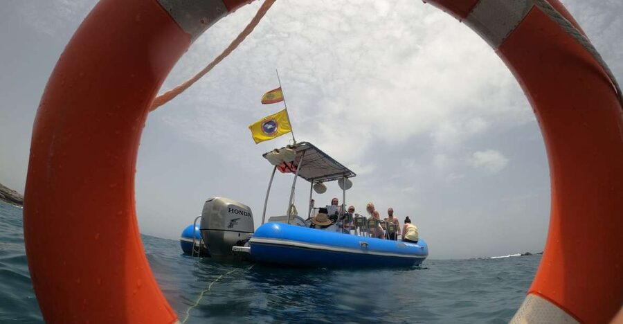 Puerto Colon: Dolphin and Whale Watching Speedboat Tour - The Captain’s Approach: Licensed Encounters and Respect at Close Range