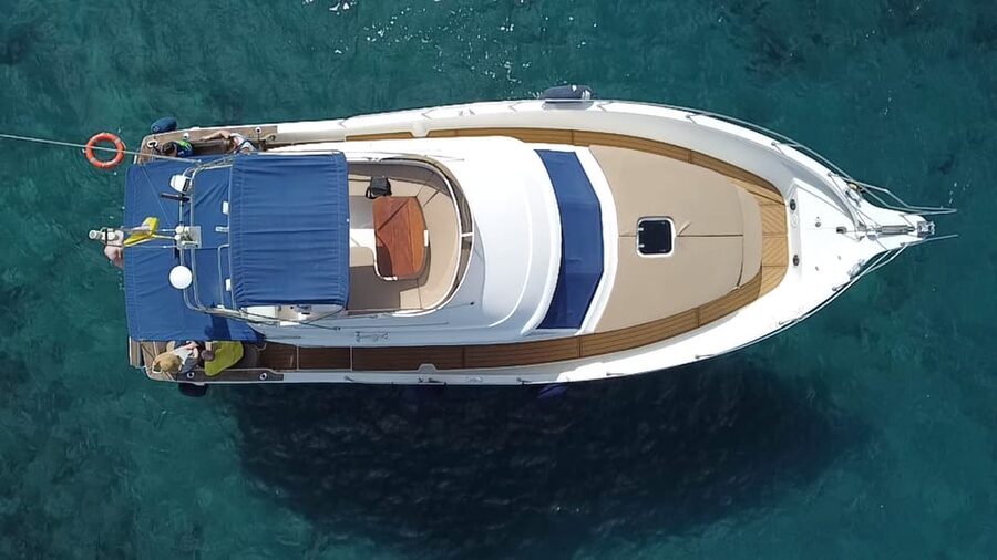Puerto Colon : Shared/private boat trip with snack & Drinks - Dolphin and whale watching time: where the “respect” shows
