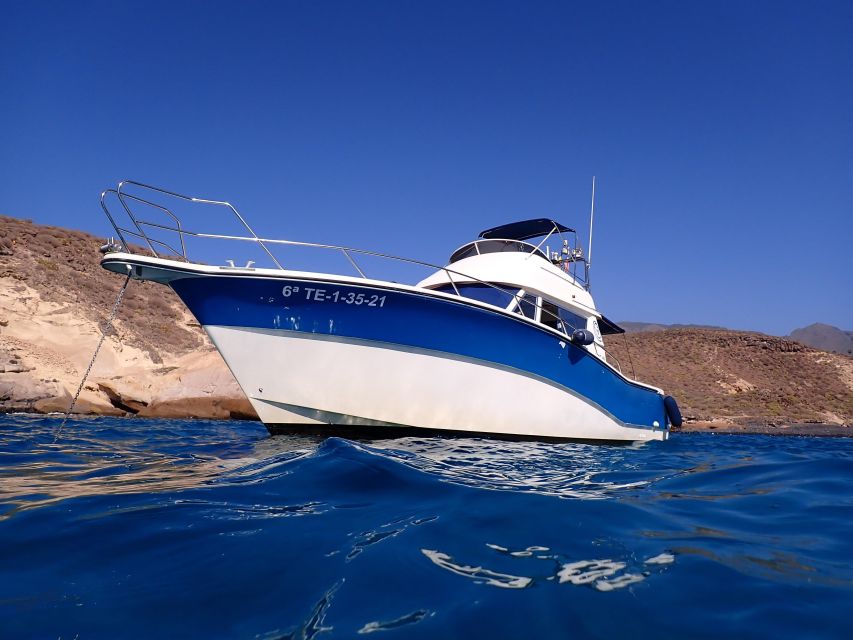 Puerto Colon : Shared/private boat trip with snack & Drinks - Onboard comfort: walkable deck, covered seating, and a sundeck