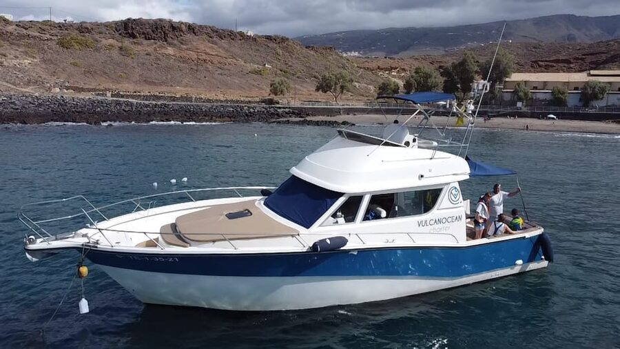 Puerto Colon : Shared/private boat trip with snack & Drinks - Costa Adeje sightseeing: the calm part before the wildlife minutes