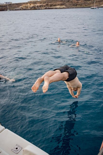 Puerto Colon: Whale and Dolphin Watching Yacht Trip - Secluded cove swim: snorkel gear and calm-water payoff