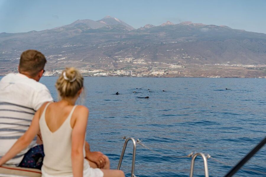 Puerto Colon: Whale and Dolphin Watching Yacht Trip - Food, drinks, and comfort on a small sail boat
