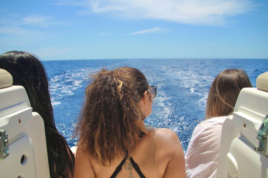 Puerto Colon : Whale & Dolphins Sailing Excursion - Key points worth knowing before you go