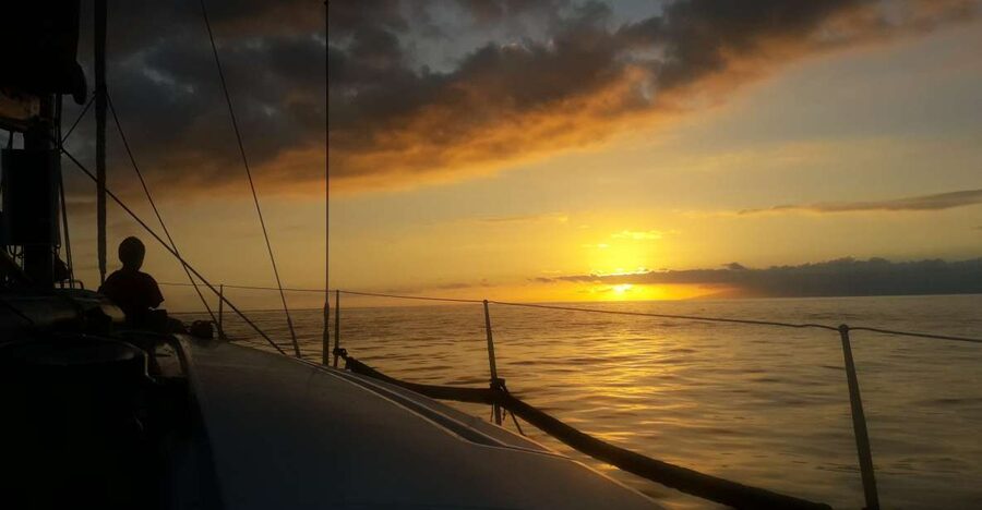 Puerto Colon: Whale-Watching Sailing Tour with Meal & a Swim - Dolphins and whales: why the skipper’s local knowledge matters