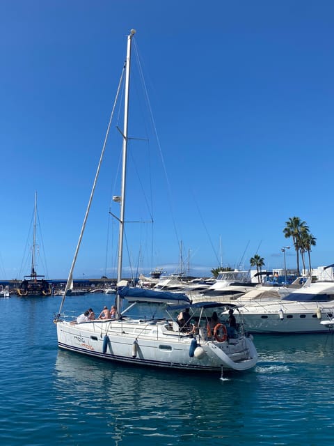 Puerto Colon: Whale-Watching Sailing Tour with Meal & a Swim - Paella, cava, and drinks: eating well while the sea moves