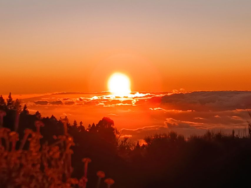 Puerto Cruz: VIP Teide Sunset & Stars, Guachiche Lunch+Cava - El Portillo visitor area: coffee and a last scenic breather
