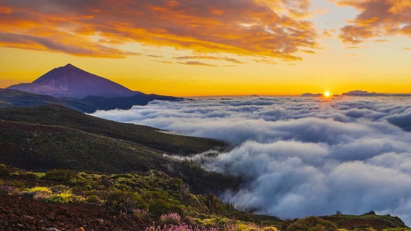 Puerto Cruz: VIP Teide Sunset & Stars, Guachiche Lunch+Cava - Getting back to Puerto de la Cruz on time (and what helps)