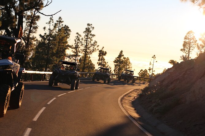 Puerto de la Cruz: Buggy Teide Day National Park - Price and value: $237 for a group of up to 2