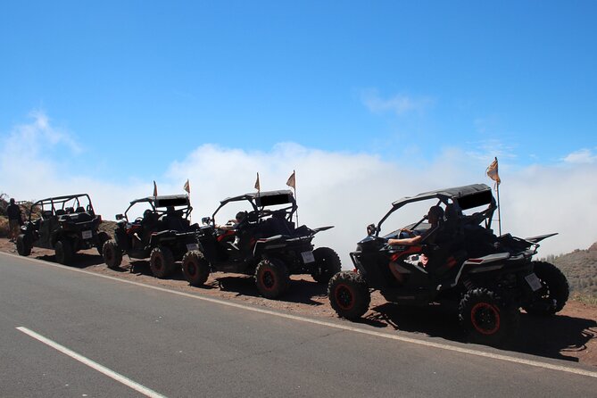 Puerto de la Cruz: Buggy Teide Day National Park - What’s included (and what to bring anyway)