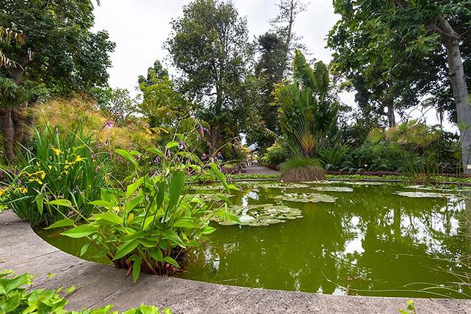Puerto de la Cruz City Tour with Transfers - Plaza del Charco: Start Here for Local Atmosphere