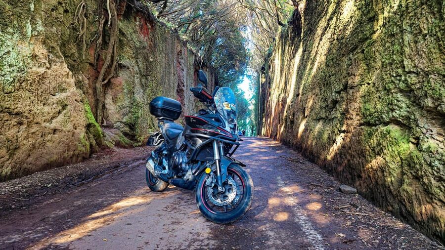 Puerto de la Cruz Motorbike tour through Teide National Park - Key things that make this Teide bike tour worth your time