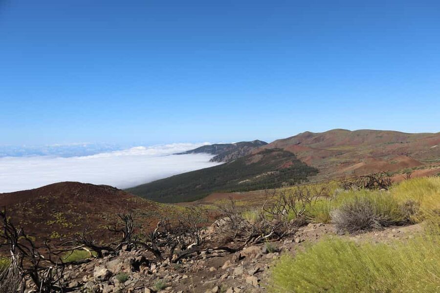 Puerto de la Cruz: Quad Teide National Park - What this tour is really good at (and who should choose it)