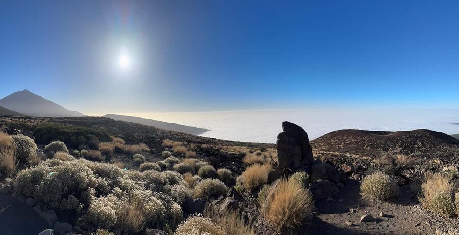 Puerto de la Cruz: Quad Tour to Mount Teide with Photos Included & Local Snack - Stops for Photos: When Your Camera Beats the Speed of the Day