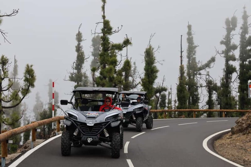 Puerto de la Cruz: Teide National Park Buggy Tour - Key takeaways before you go