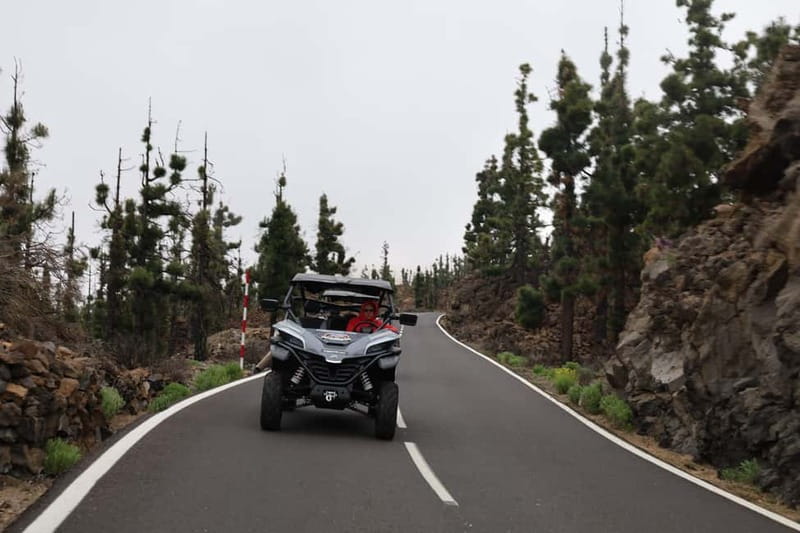 Puerto de la Cruz: Teide National Park Buggy Tour - Ramon Caminero break: drinks, geology talk, and volcanic life