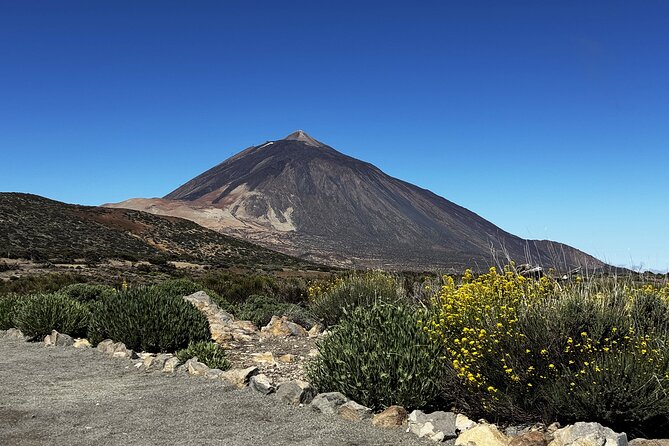 Puerto de la Cruz : Tour in Quad al Teide with Photos & Snack Local - Weather, Clothing, and Driver Requirements (Read This Before You Go)