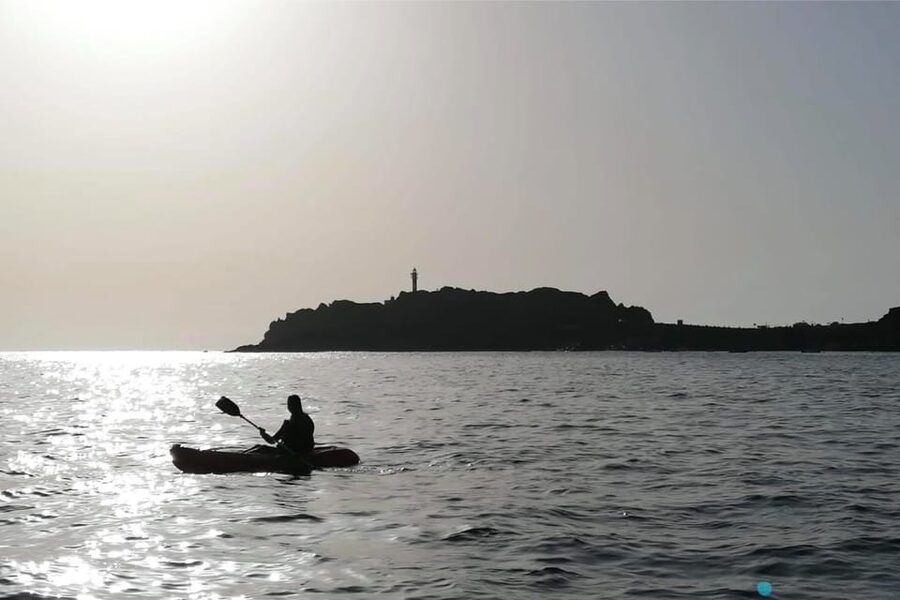Punta de Teno: Kayak Safari overlooking Los Gigantes Cliffs - Price and Value: Is $40 Worth It?