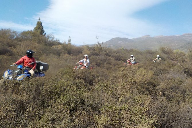 Quad Bike Safari - El Roque to San Miguel: wrapping up without the rush