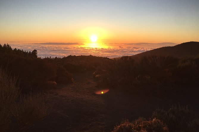 Quad tour (option : Teide morning or Sunset tour) - Arona Start Point to the Teide Area: Fast Scenery, Not Waiting Around