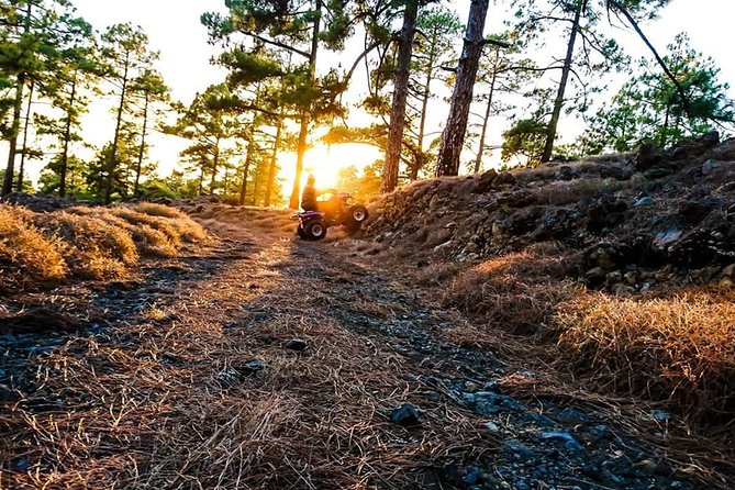Quad Tour Volcano Teide Adventure - Day vs Sunset: Which Timing Fits Your Style?