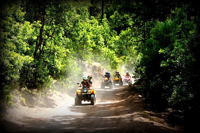 Quad Tour Volcano Teide Adventure - Price and Value: $192.62 Per Group (Up to Two Riders)