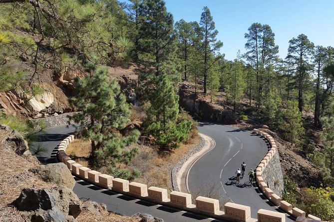 Road Cycling Tenerife - Teide Route - The group size: why max 10 feels better on hard routes