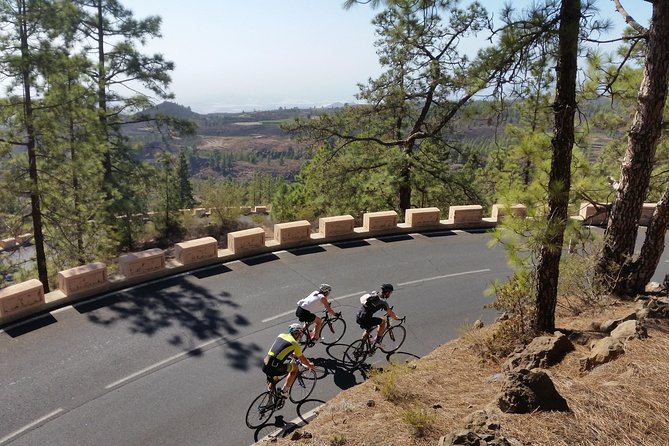 Road Cycling Tenerife - Teide Route - Starting in Playa de las Américas: the smooth part of the day
