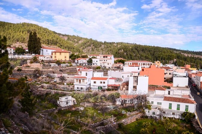Road Cycling Tenerife - Vilaflor Route - Key highlights you’ll feel right away