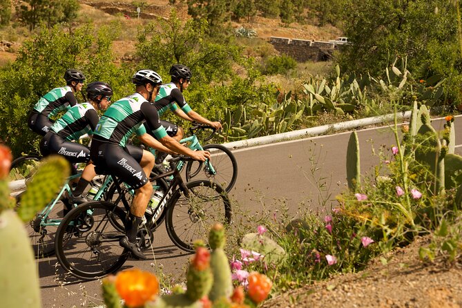Road Cycling Tenerife - Vilaflor Route - Road Cycling Tenerife to Vilaflor: the big climbs without a car