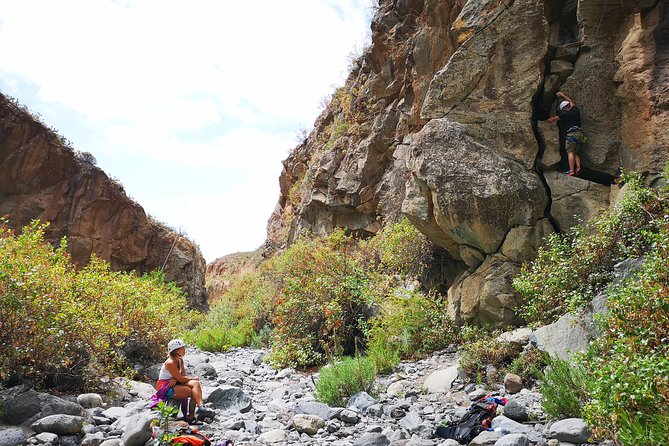 Rock climbing in natural space. - Climbing Tenerife’s Volcanic Walls Up to 20 Meters