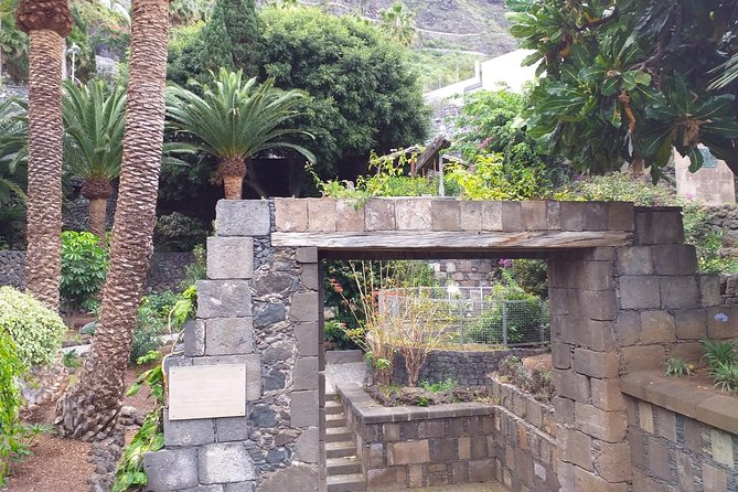 Round The Island Trip Without Teide VIP TOUR - El Drago Milenario: a fast stop with real atmosphere