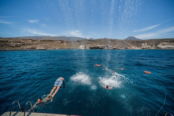 Royal Delfin 3H Dolphin & Whale Watching! Swimming & Lunch! - Deck Access, Congestion, and How to Get Good Viewing