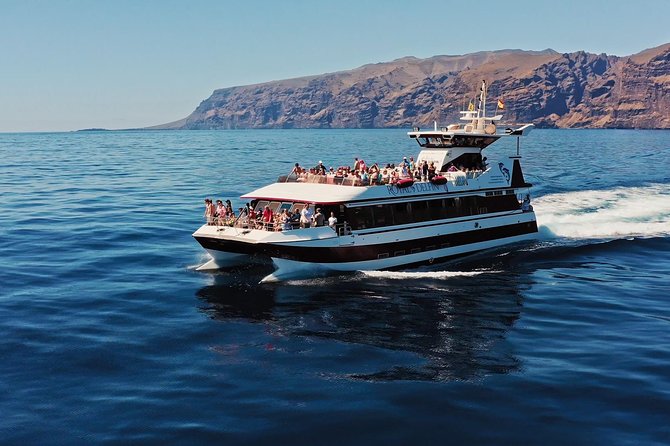 Royal Delfin - 4'5H Dolphin & Whale Watching - Los Gigantes Masca - Lunch & Swim - The 4.5-hour route: from Playa de las Américas toward Los Gigantes