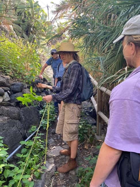 Rural Life Experience: Mojo Workshop and botanical Walk - Practical Tips: What to Bring and How to Stay Comfortable