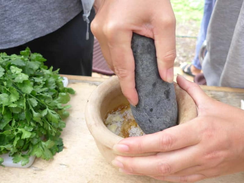 Rural Life Experience: Mojo Workshop and botanical Walk - La Laja: Where Mojo Starts Before You Ever Stir It