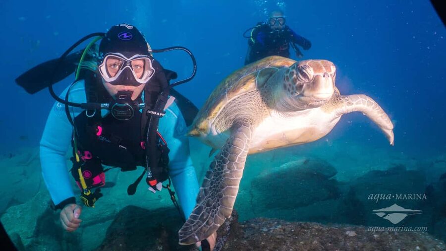 S. Tenerife: 2 Dives for Beginners (Beach + Boat Experience) - Weather reality: plan for the ocean segment to be flexible