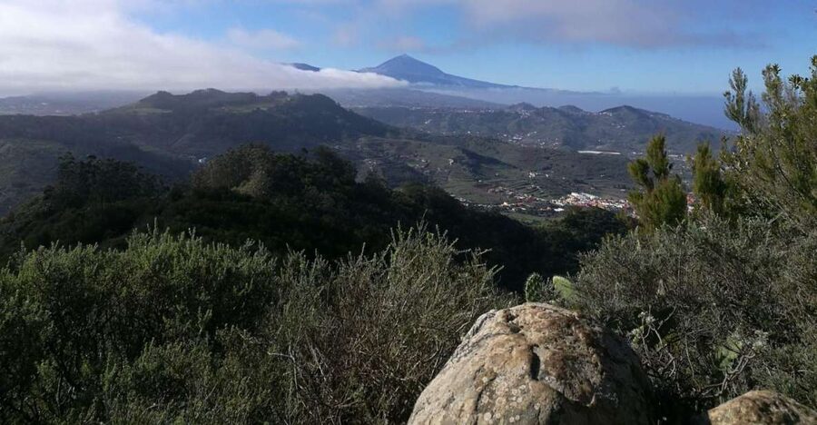 Santa Cruz de Tenerife: 2-Hour Hiking Tour in Anaga Forest - Why the Anaga laurel forest feels like another Tenerife