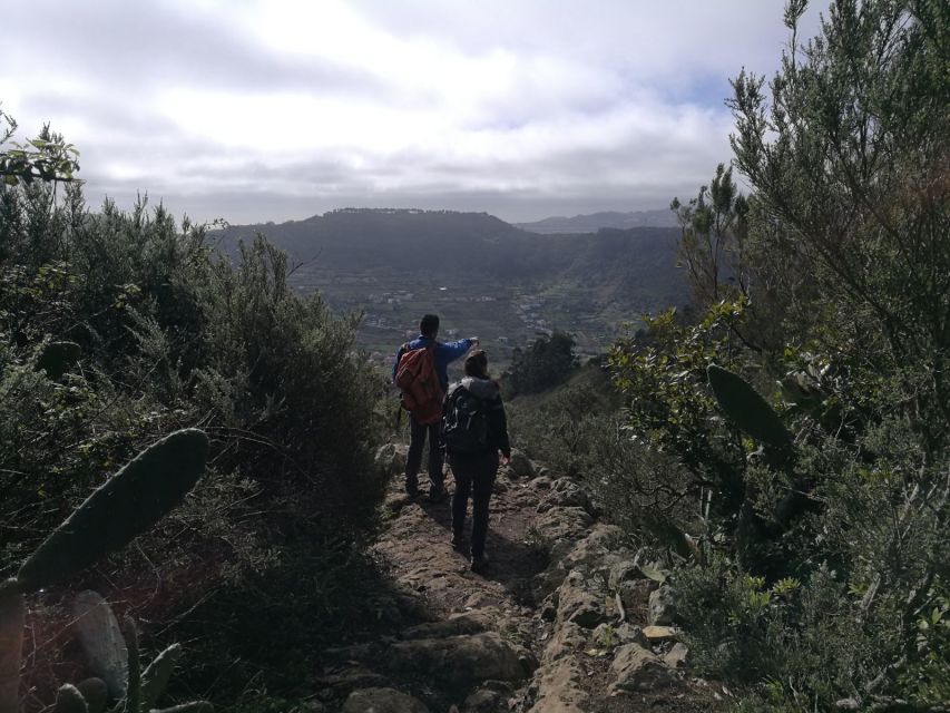 Santa Cruz de Tenerife: 2-Hour Hiking Tour in Anaga Forest - Canarian hints along the trail: architecture and isolation