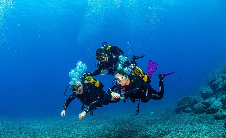 Santa Cruz de Tenerife: Advanced introductory course - Price and value: is $140 a fair deal?