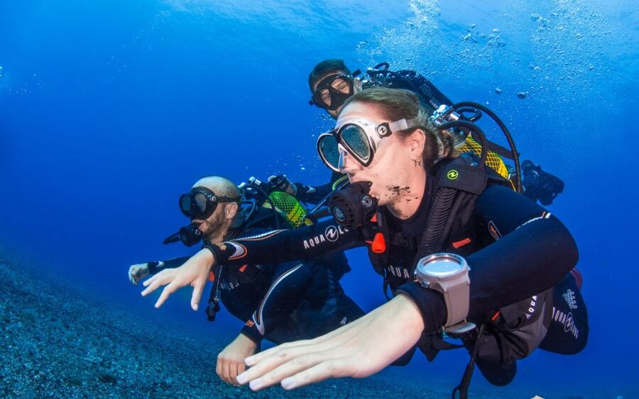 Santa Cruz de Tenerife: Advanced introductory course - Your 5 hours in Tenerife: how the schedule actually unfolds