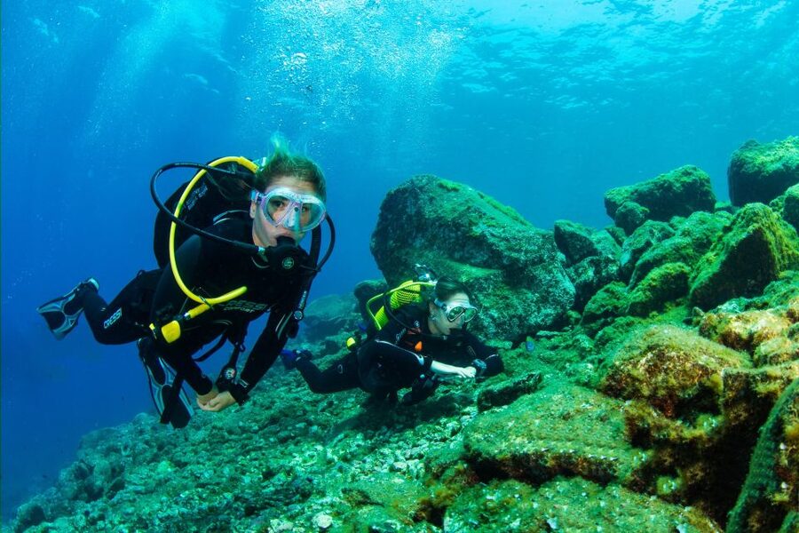 Santa Cruz de Tenerife: Beginner's Diving & Introduction - Gear Lessons First: What You Learn Before You Breathe Underwater