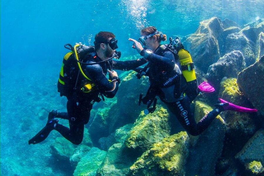 Santa Cruz de Tenerife: Beginner's Diving & Introduction - Who This Experience Fits Best in Your Tenerife Trip