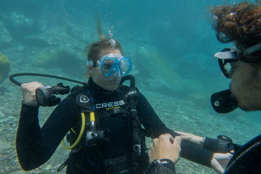 Santa Cruz de Tenerife: PADI Introductory Dive - Radazul Beach Underwater Time: Calm Water, Fish You Can Actually See