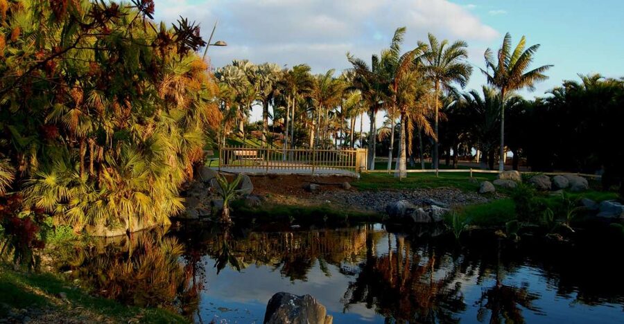 Santa Cruz de Tenerife Palmetum Entry Ticket - Key Highlights at a Glance
